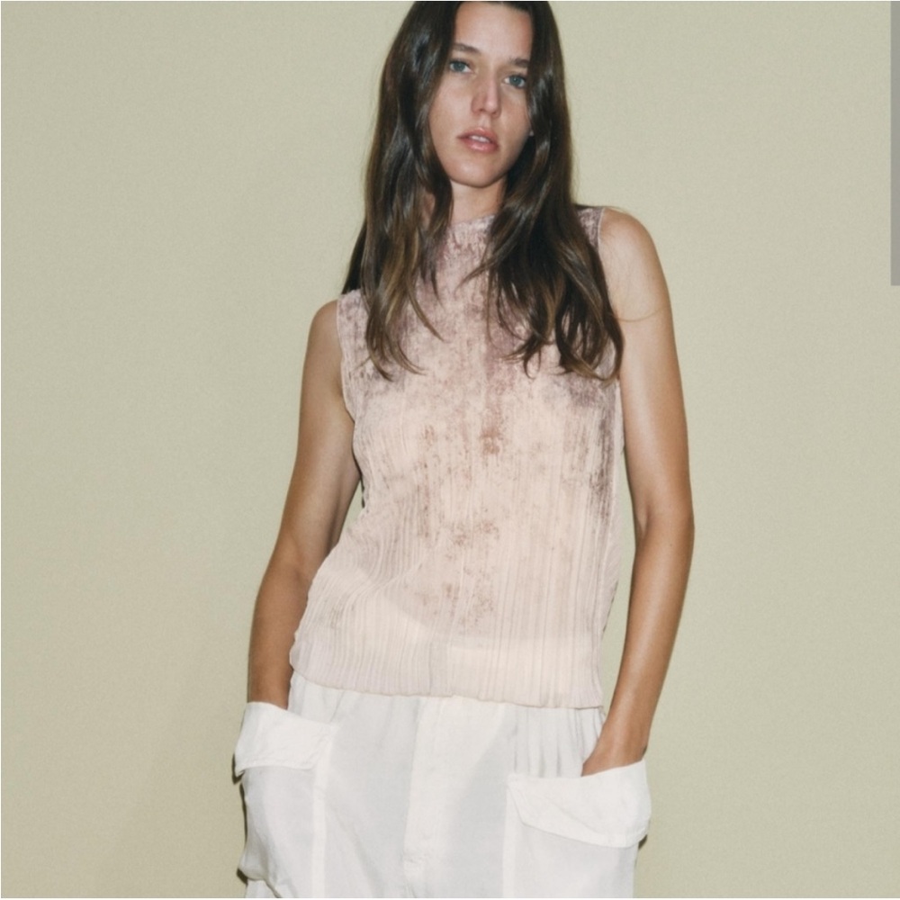 Zara Beige and Brown Pleated Top